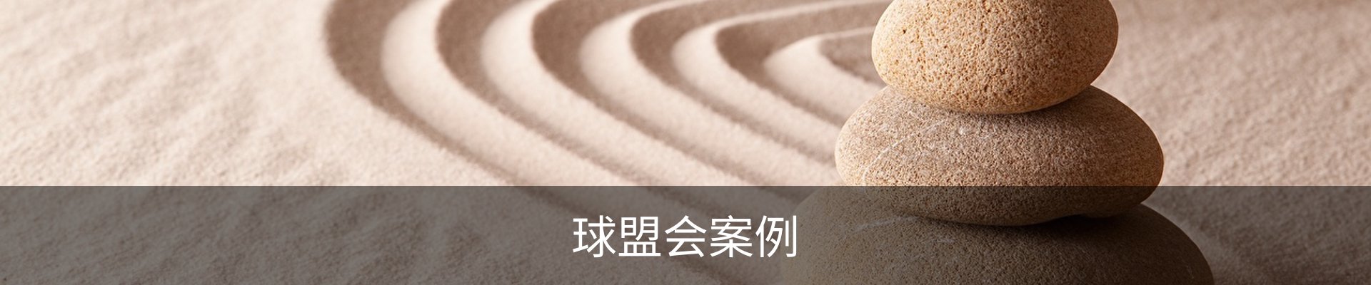 球盟会案例